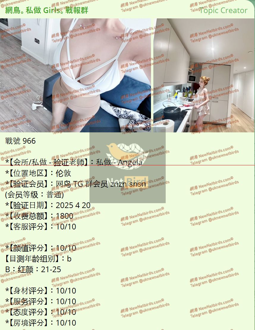 戰號 966 1.jpeg
